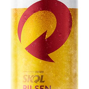 Cerveja SKOL lata